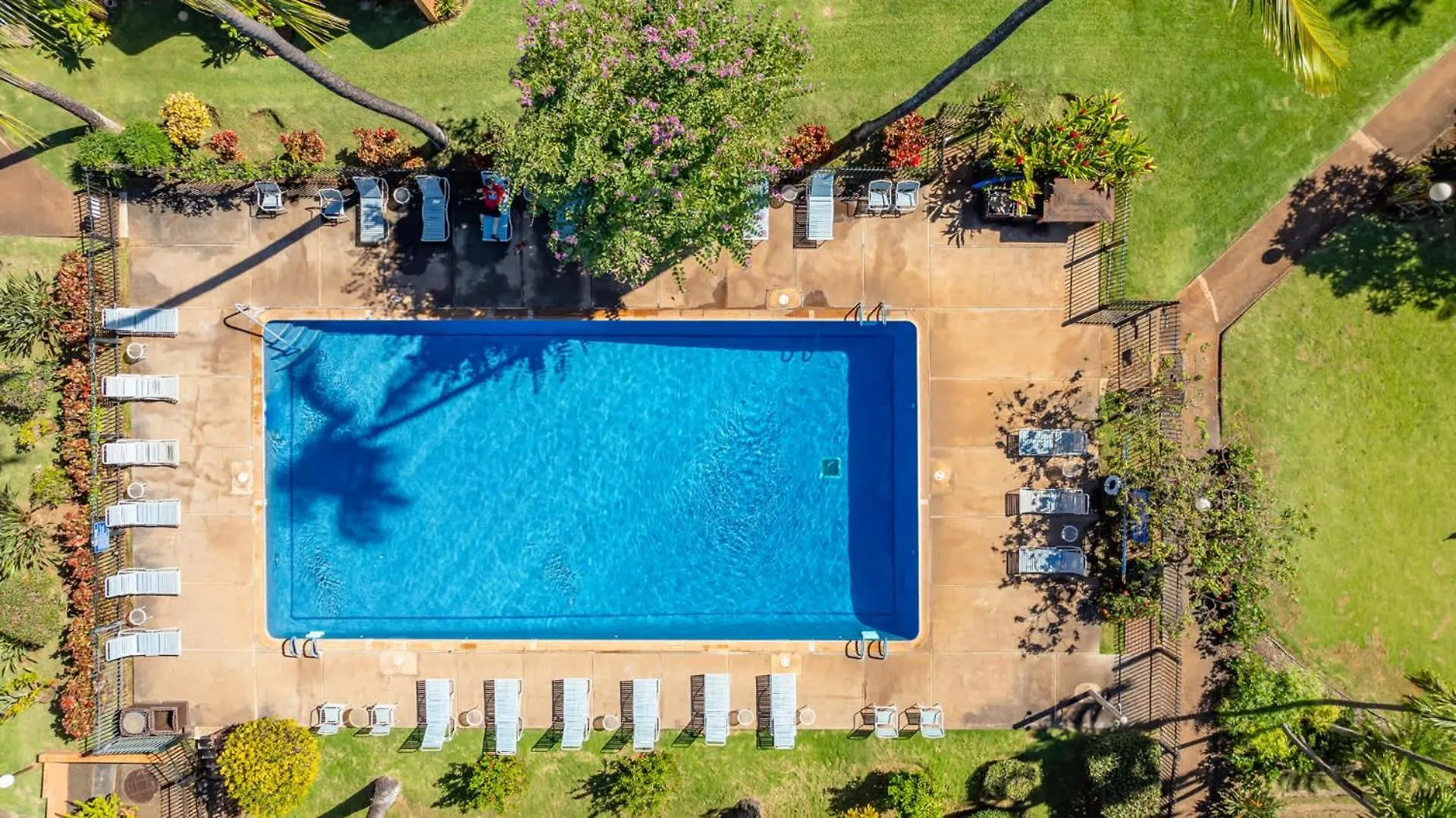 Kuleana Club #319 - Ocean View -1 Bedroom & 1 Bathroom - 3Rd Floor Kahana